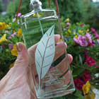 Отзыв Elizabeth Arden Green Tea