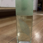 Отзыв Elizabeth Arden Green Tea