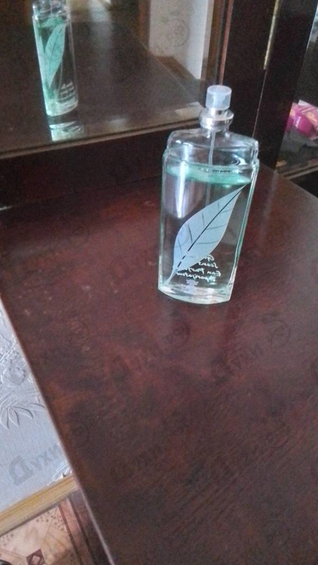 Духи Green Tea от Elizabeth Arden
