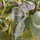 Духи Green Tea от Elizabeth Arden