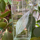 Духи Green Tea от Elizabeth Arden