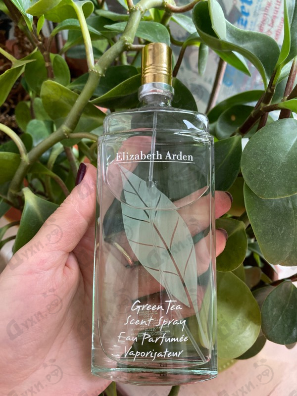 Купить Green Tea от Elizabeth Arden