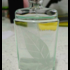 Отзывы Elizabeth Arden Green Tea Парфюмерия Green Tea от Elizabeth Arden