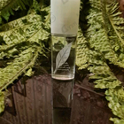 Отзыв Elizabeth Arden Green Tea