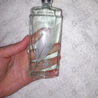 Парфюм Elizabeth Arden Green Tea