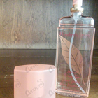 Отзывы Elizabeth Arden Green Tea Spiced