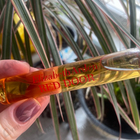 Отзывы Elizabeth Arden Red Door