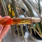 Духи Red Door от Elizabeth Arden