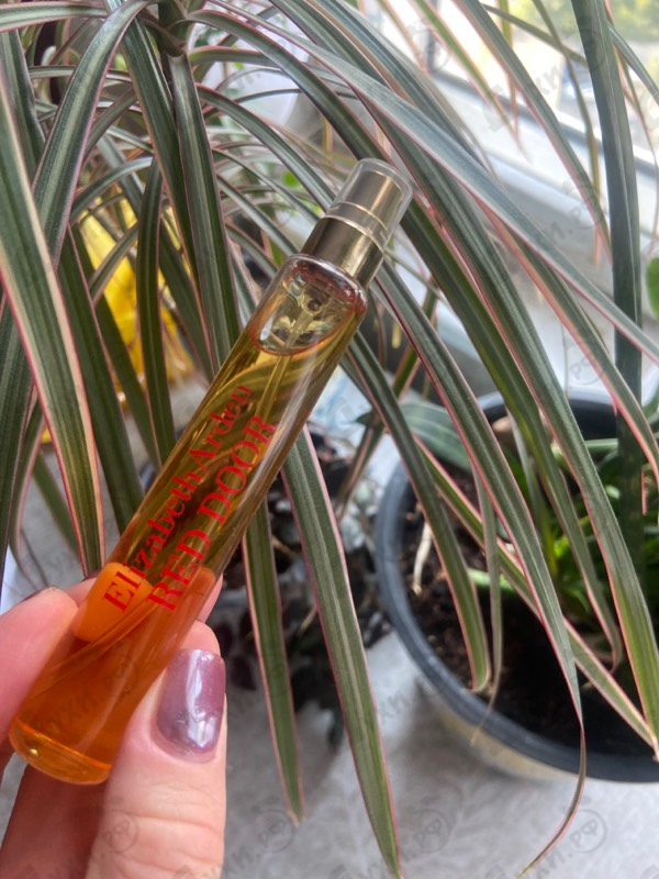 Купить Red Door от Elizabeth Arden