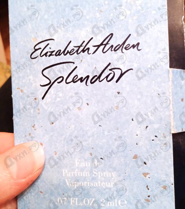 Купить Elizabeth Arden Splendor Купить Splendor от Elizabeth Arden