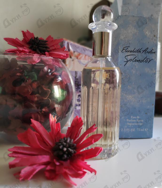 Купить Elizabeth Arden Splendor