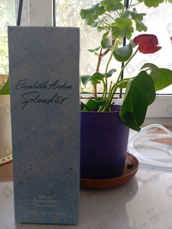 Парфюмерия Splendor от Elizabeth Arden Парфюмерия Elizabeth Arden Splendor
