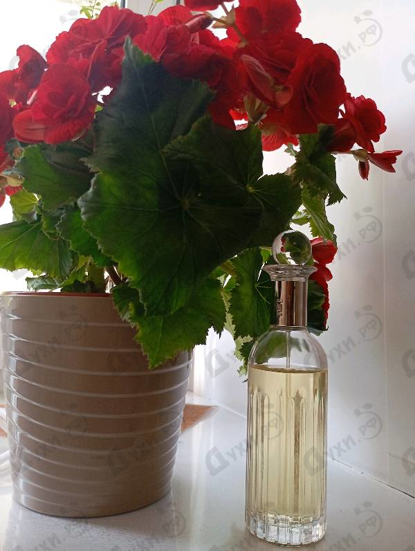 Отзыв Elizabeth Arden Splendor Купить Splendor от Elizabeth Arden