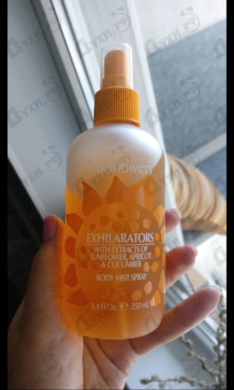 Парфюмерия Sunflowers от Elizabeth Arden