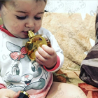 Отзыв Escada Desire Me