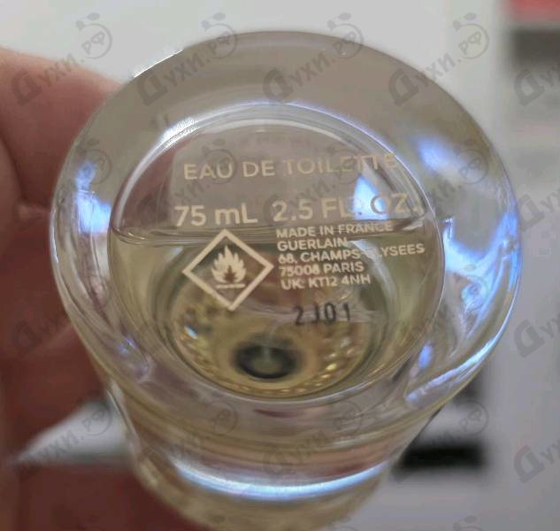 Парфюмерия Aqua Allegoria Nerolia Vetiver от Guerlain