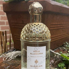 Отзыв Guerlain Aqua Allegoria Nerolia Vetiver