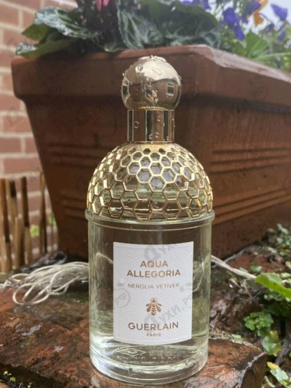 Духи Aqua Allegoria Nerolia Vetiver от Guerlain