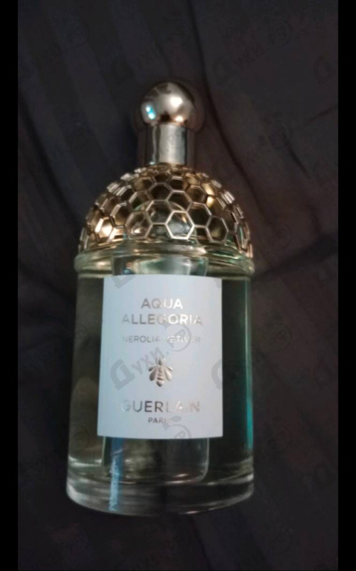 Купить Aqua Allegoria Nerolia Vetiver от Guerlain