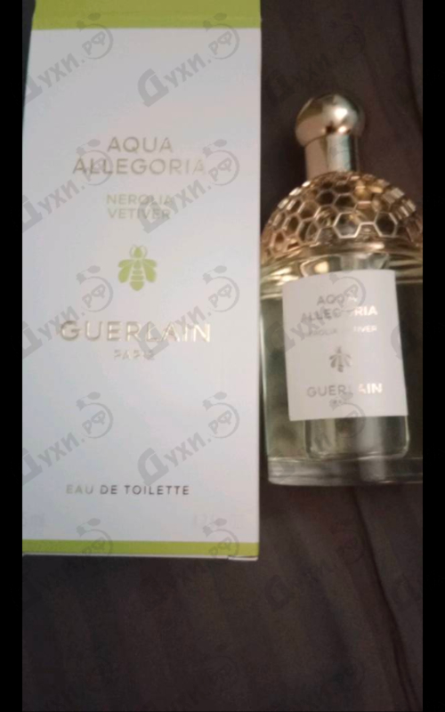 Купить Aqua Allegoria Nerolia Vetiver от Guerlain