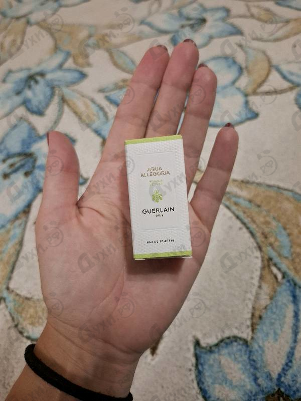 Купить Aqua Allegoria Nerolia Vetiver от Guerlain