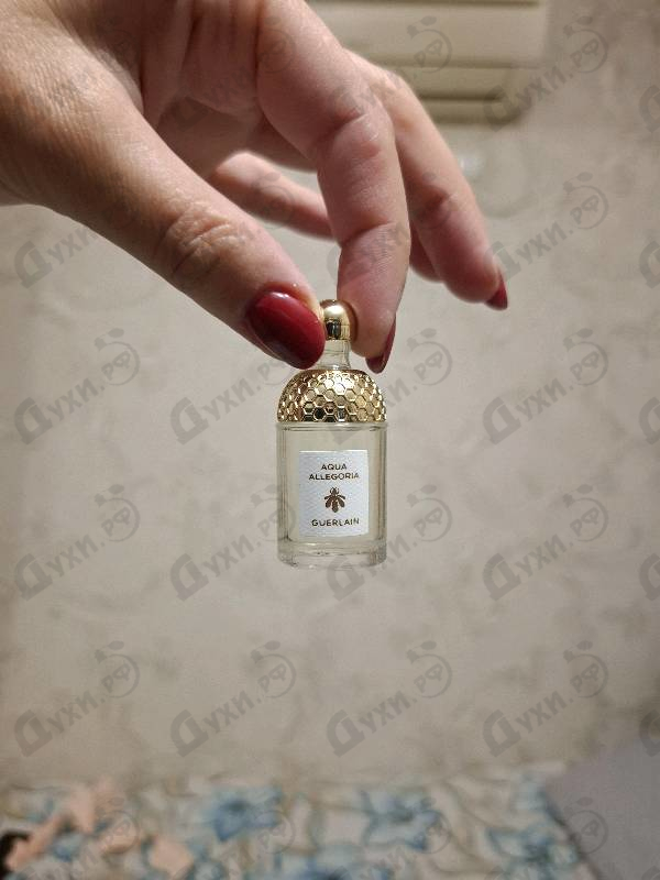 Парфюмерия Aqua Allegoria Nerolia Vetiver от Guerlain