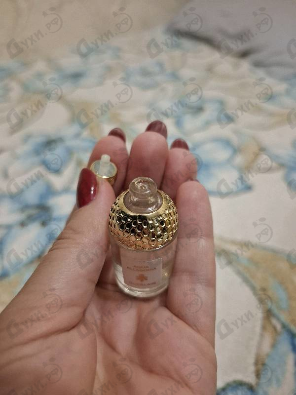 Парфюмерия Aqua Allegoria Nerolia Vetiver от Guerlain