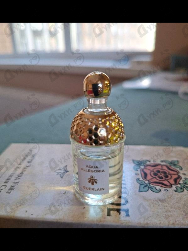 Духи Aqua Allegoria Nerolia Vetiver от Guerlain