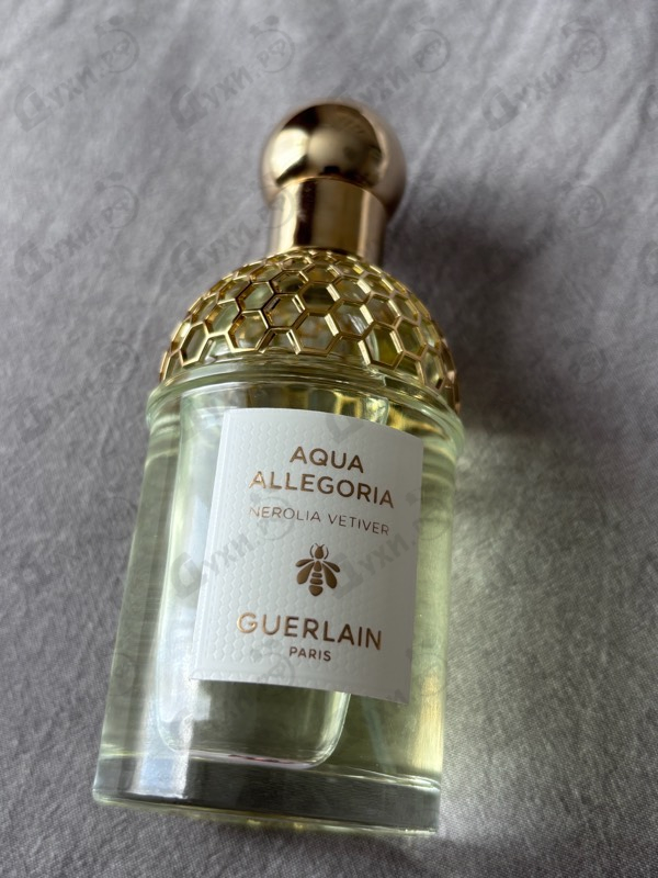 Отзывы Guerlain Aqua Allegoria Nerolia Vetiver
