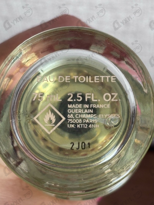 Отзыв Guerlain Aqua Allegoria Nerolia Vetiver