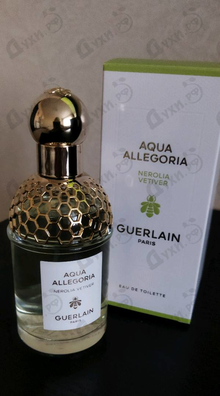 Купить Guerlain Aqua Allegoria Nerolia Vetiver