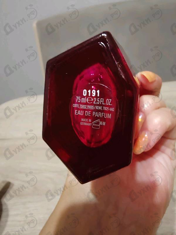 Отзыв Escada Magnetism