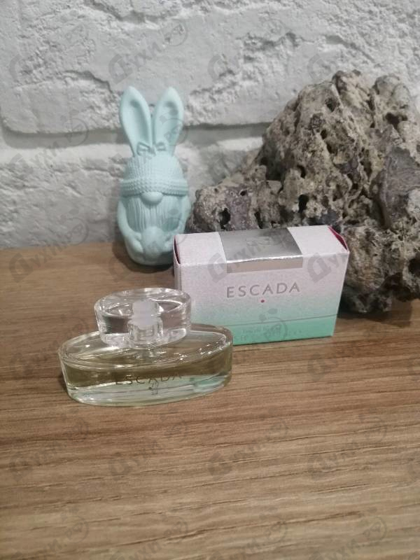 Купить Signature Crystal от Escada