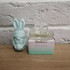 Отзывы Escada Signature Crystal