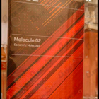 Отзыв Escentric Molecules Molecule 02