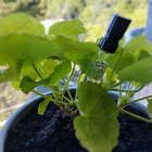 Духи Molecule 02 от Escentric Molecules