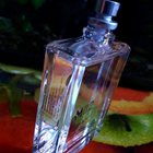 Отзывы Escentric Molecules Molecule 02