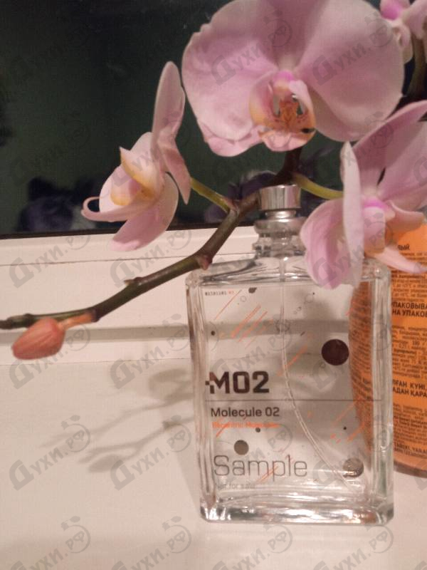 Купить Escentric Molecules Molecule 02