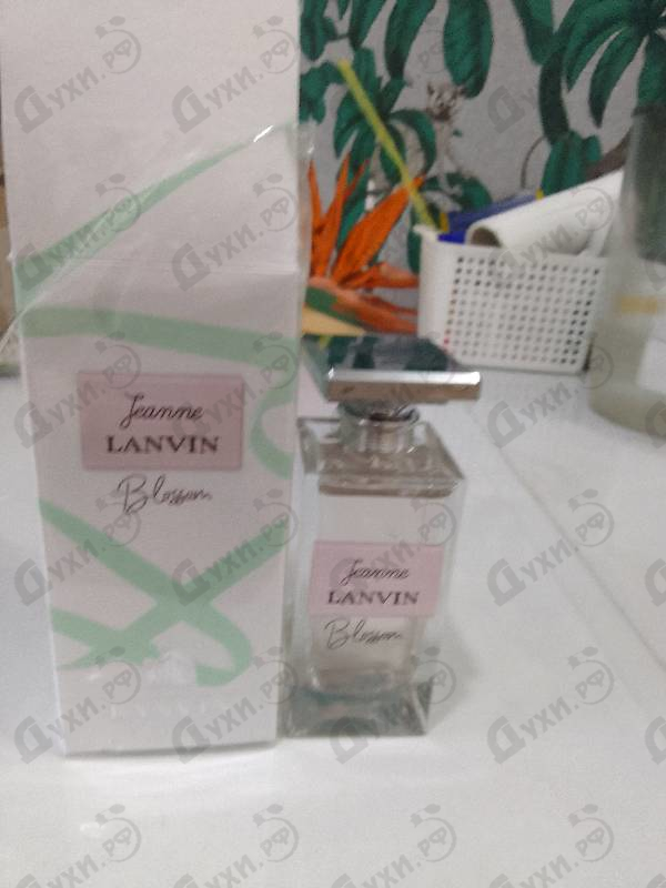 Купить Lanvin Jeanne Blossom