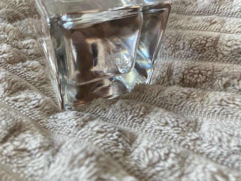 Парфюмерия Lanvin Jeanne Blossom