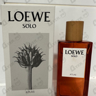 Отзывы Loewe Solo Atlas