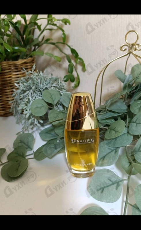Купить Estee Lauder Beautiful