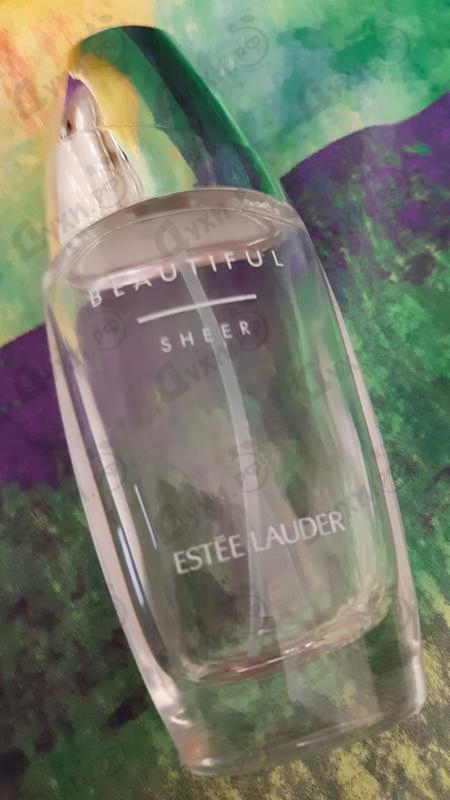 Духи Beautiful Sheer от Estee Lauder Парфюмерия Estee Lauder Beautiful Sheer