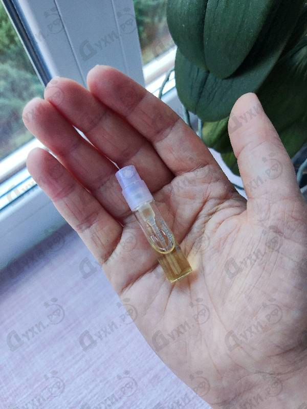 Отзыв Estee Lauder Beyond Paradise Парфюмерия Beyond Paradise от Estee Lauder