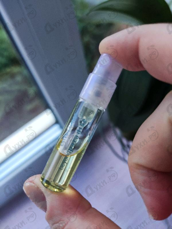 Парфюмерия Beyond Paradise от Estee Lauder Отзыв Estee Lauder Beyond Paradise