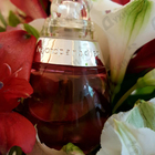 Отзыв Estee Lauder Beyond Paradise