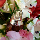 Духи Beyond Paradise от Estee Lauder