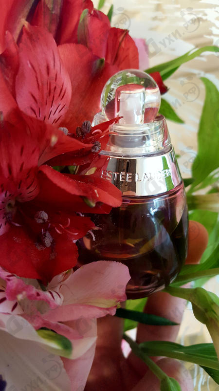 Парфюмерия Estee Lauder Beyond Paradise Купить Beyond Paradise от Estee Lauder