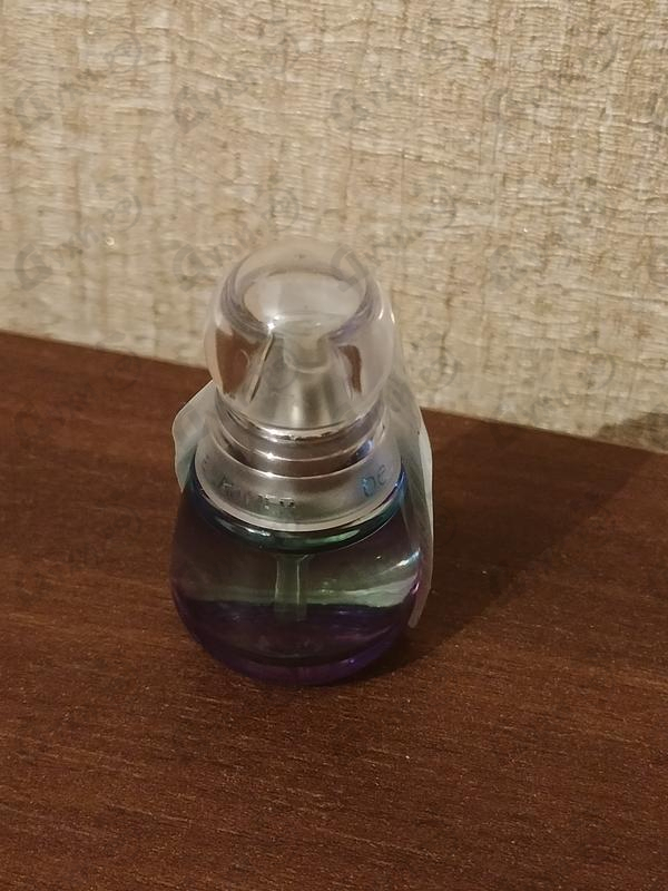 Парфюмерия Beyond Paradise от Estee Lauder Купить Estee Lauder Beyond Paradise