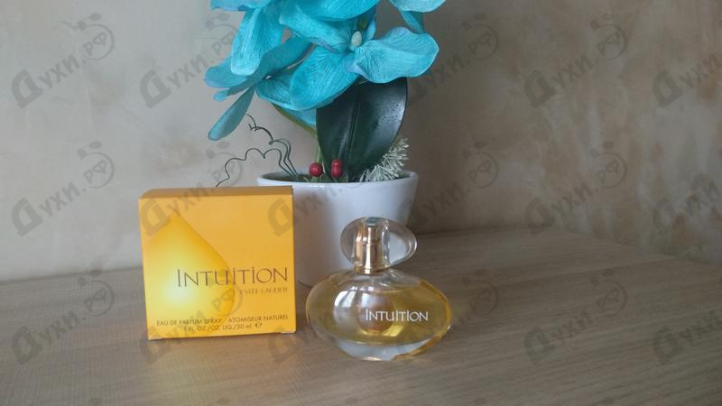 Купить Estee Lauder Intuition